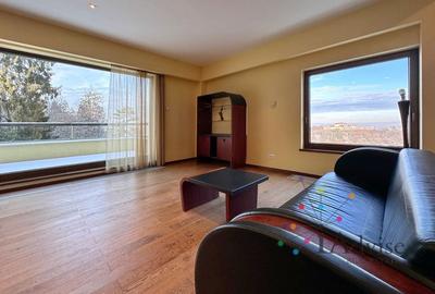 Apartament cu 3 camere decomandat, mobilat în Drumul Poienii