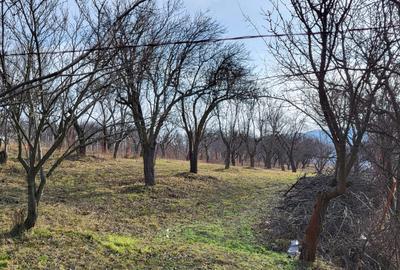 Teren Intravilan 43Ari zona Ortelec-Zalau intre case 4800eur/ar - 4