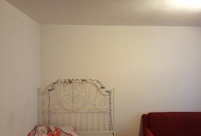 IANCULUI-METROU-MEGAMALL,2 cam ,decomandate, spatios,65 mp.  350 euro - 8