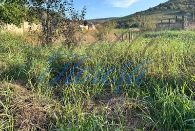 Teren Construcții intravilan de 5800 mp, în Luna de Sus