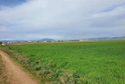 Teren agricol extravilan de 7400 mp, în Tărlungeni