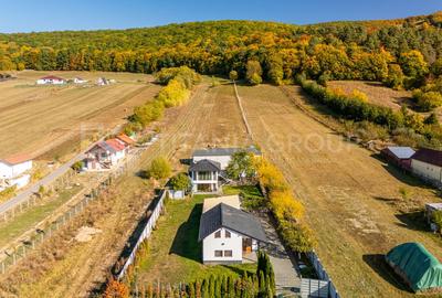 Casă 4 camere, garaj, foișor, grajd, 6000mp teren lângă padure - 28
