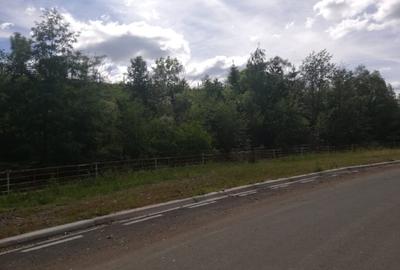 Vind teten intravilan in  Margau - 2