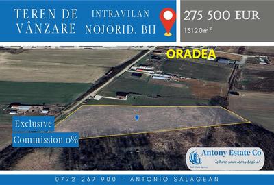 Teren Construcții intravilan de 13120 mp, în Nojorid