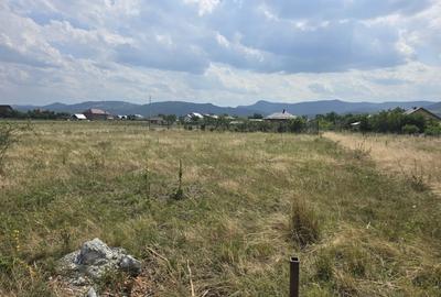 Casă P+M la gri, 119 mp utili și teren de 1.000 mp – Dumbrava Roșie - 5