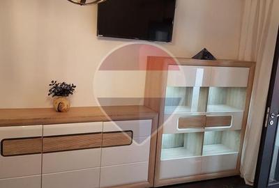 Inchiriere Apartament cu 2 camere în zona P-ta Victoriei - 3