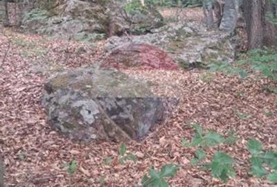 De vânzare teren intravilan 3,690mp Suncuius - 12