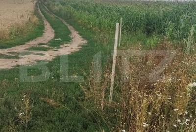 Teren agricol extravilan de 10000 mp, în Cristian