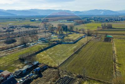 Teren Intravilan 5.000 mp Prejmer -  Strada Preot Ioan Popescu - 8