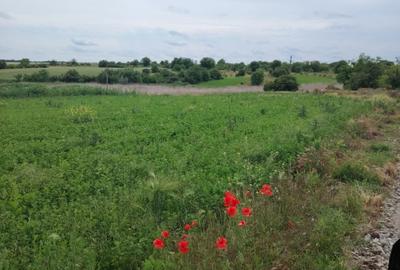 Teren Construcții intravilan de 1000 mp, în Măriuța