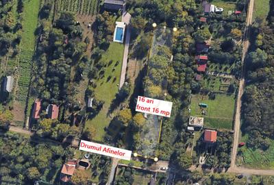 Teren Construcții extravilan de 1600 mp, în Bercu Roșu