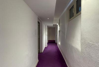 REA1020079 Apartament tip duplex Capitale parter inalt I demisol - 17