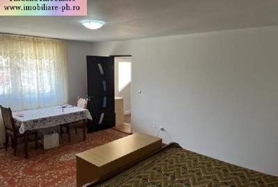 Casa de vanzare - Valea Calugareasca - 16