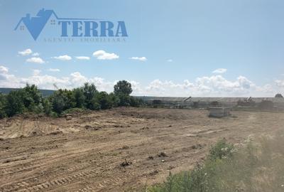 Teren intravilan 7.500 mp | DN73 | 4 km de Dacia Mioveni - 3