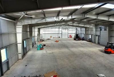 Magurele,hala 1000 mp,constructie noua ,ideal depozitare,productie - 6