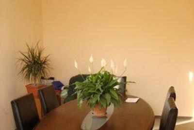 Hala cu dotari, afacere cu clienti, birouri-vestiare, teren, E60, langa Oradea - 5