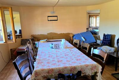Casa 3 camere Viile Satu Mare - 3