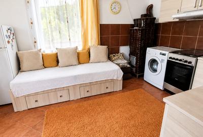 Proprietate cu doua corpuri de locuit, piscină, foisor, complet funcțională - 30