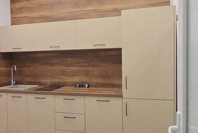 Hala/Showroom/Birouri de închiriat, str. Ogorului / cart. Grigorescu-H0031 - 16