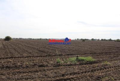 Teren de vanzare Balotesti -16.300mp-Stradal -Residentiale sau Comercial-cu toat - 2