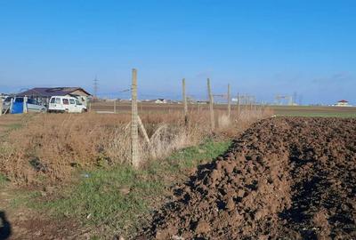 Teren Investiție 4750 mp Limanu - Parcelabil, lângă Mangalia - 3