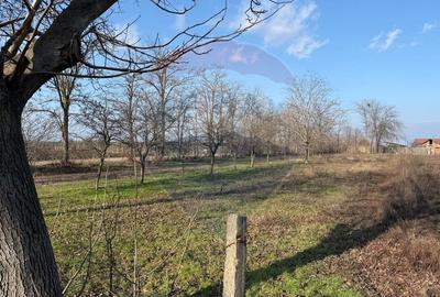 Teren 2,300mp Petresti / Strada Lacramioarei - 4