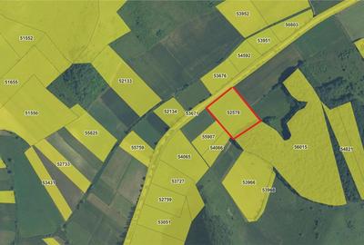 Teren arabil agricol, 1 Ha, langa asfalt - 1