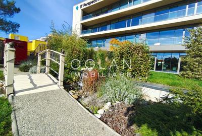 Spatii de birouri PREMIUM (nZEB) 757mp, ZONA CENTRALA - 11