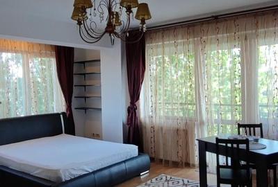 Garsoniera spatioasa cu centrala proprie, soseaua Giurgiului