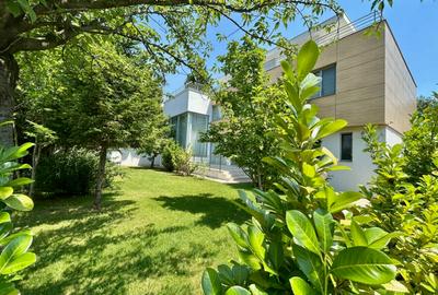 Luxury villa, Cambridge School, Iancu Nicolae area - 3