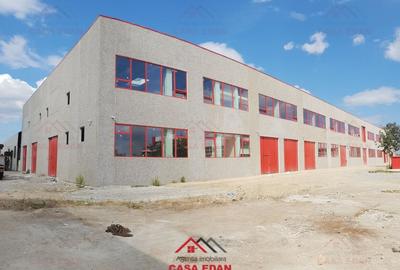 Spațiu industrial, 13000 mp în Băicoi