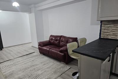Inchiriere apartament 2 camere Copou Garden - 5