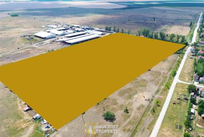 SERĂ INDUSTRIALĂ CU TEREN INTRAVILAN  – OPORTUNITATE RARĂ in Olari - 18