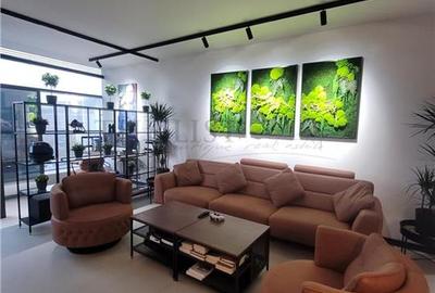 Apartament cu 2 camere semidecomandat, mobilat în Pipera