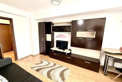 Apartament cu o cameră de închiriat pe Strada Plopilor.  Pet Friendly - 2