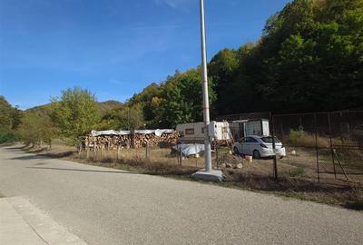 Teren intravilan de 317 mp, langa padure, container modular nou - 2