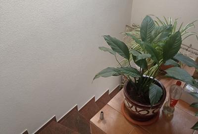 Vila individuala cu teren 1900 mp Parta - 8