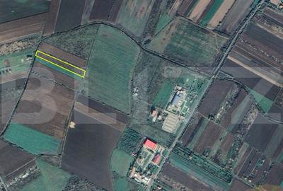Teren agricol extravilan de 5939 mp, în Nord