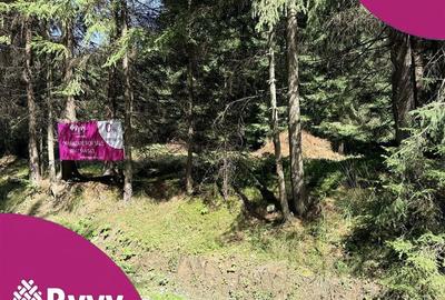 Teren agricol intravilan de 4695 mp, în Comandău