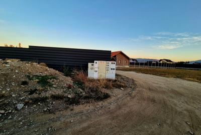 Teren 1450 mp intravilan, construibil Carpinis - 7