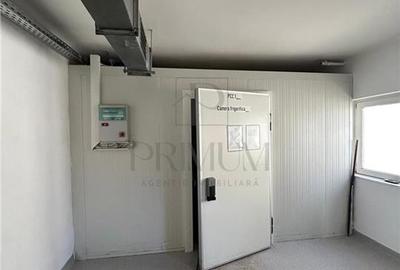Spatiu comercial tip hala productie sau depozit - Mehala - 4