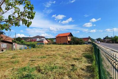 DE INCHIRIAT - TEREN 1233 MP, GORANU - DN7 - 6