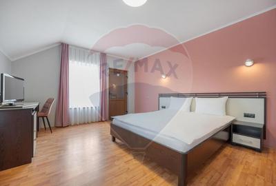 Casă / Vilă cu 16 camere de vânzare Sanmartin/Stefan cel Mare - 8