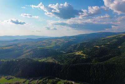 Teren 4,46 ha pentru resort / cabane – Vatra Dornei, intravilan + extr - 4