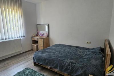 Casa individuala de inchiriat Clinceni-Olteni - 9