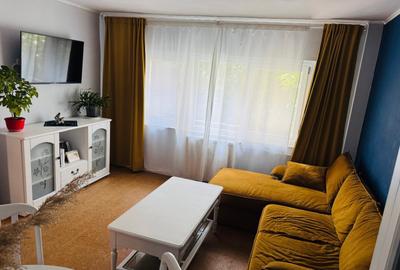 Piata ALBA IULIA/DECEBAL,nestradal,apartament superb,ideal locuit,utilat complet - 5