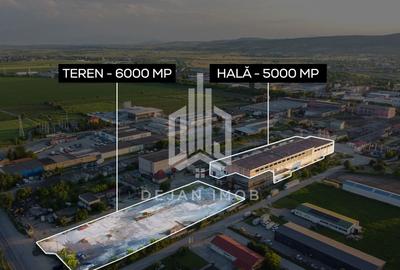 Hală Industrială | 5.000 MP | Sfântu Gheorghe - 2