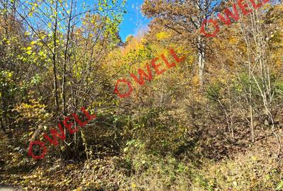 Teren extravilan de 3.500 m² de vânzare în Bodvaj! - 5