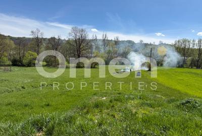 Teren agricol intravilan de 2500 mp, în Berința