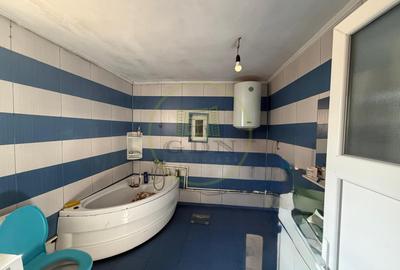 Casa plan parter, 462 mp, 100 mp utili, Brestei, zona Ambassador - 8